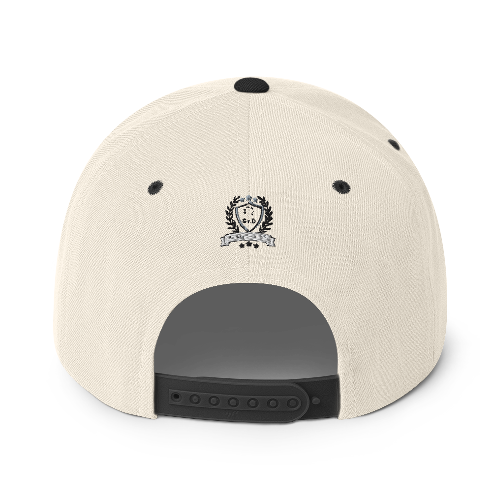 Try Jesus Snapback Hat - Godfidence Every Day G.E.D. Brand