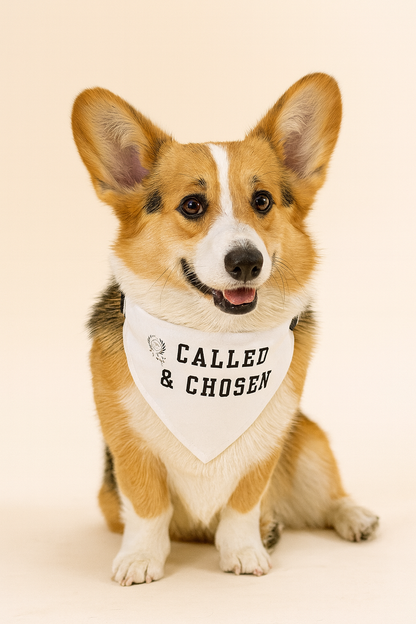 Called & Chosen Pet bandana collar - Godfidence Every Day G.E.D. Brand