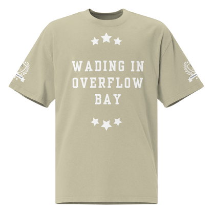 NEW!!! GodfidenceOverflow Bay Oversized faded t-shirt